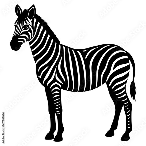 zebra vector illustration