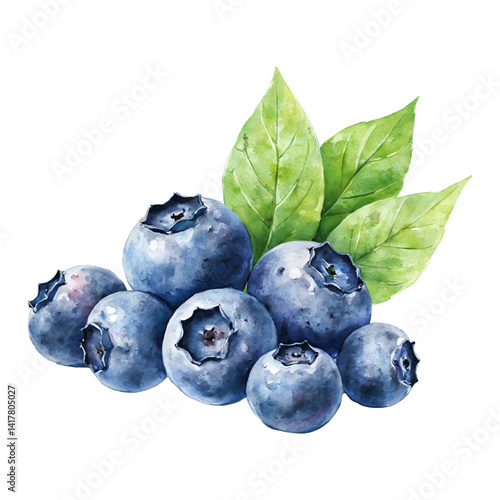 Fresh Blueberries with Green Leaves Isolated Hand Drawn Watercolor Painting Illustration