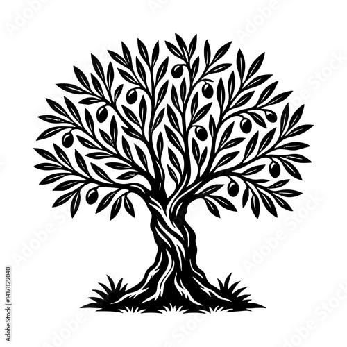 olive tree
