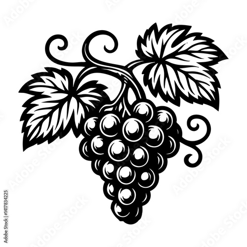 grapes on a branch with leaves