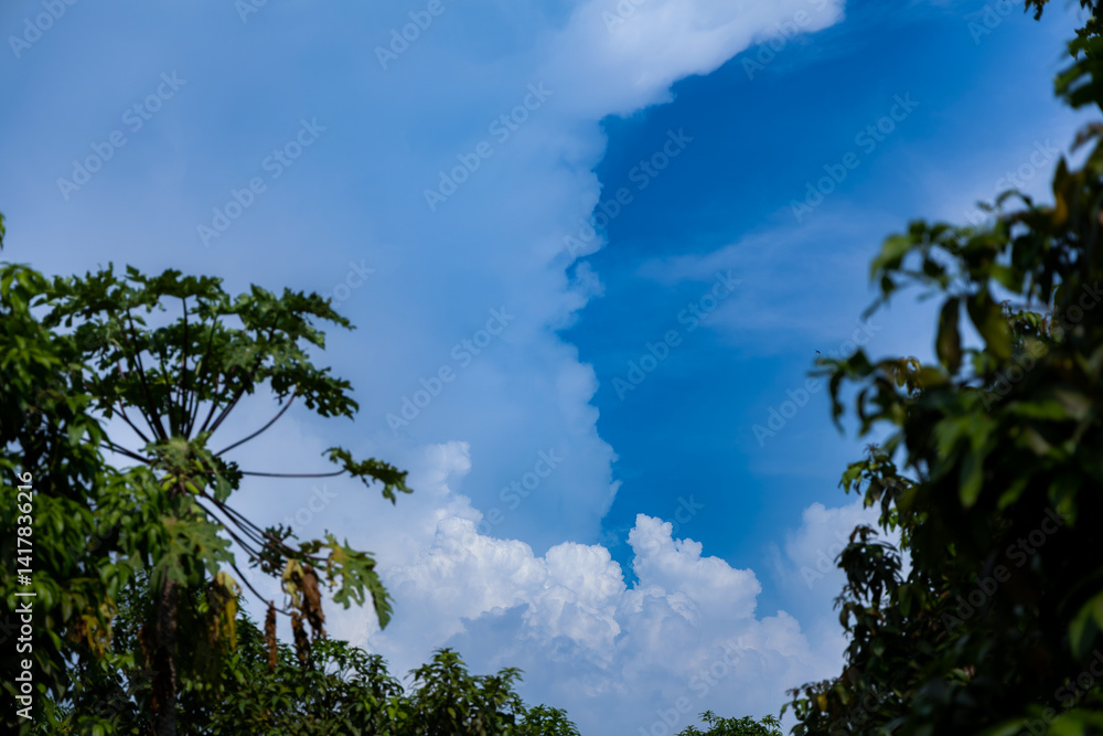 Obraz premium Blue Sky Filled with Fluffy White Clouds