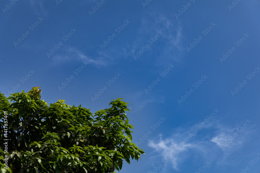 Obraz premium Blue Sky Filled with Fluffy White Clouds