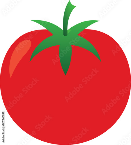 Tomato vector illustration