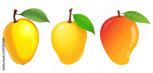 set of ripe mangoes with leaf vector illustration isolated