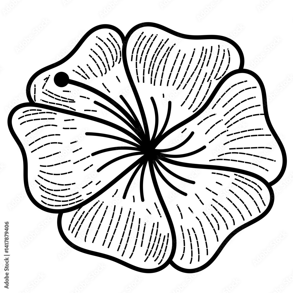 Fototapeta premium vector drawing of a lily