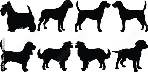 Collection of Dog Silhouettes Various Breeds Canine Pets Animals