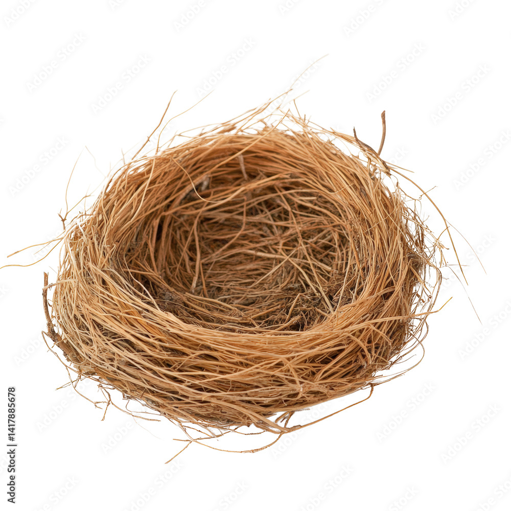 Close-up of empty bird made from natural twigs and grass on a plain white background with detailed textures and fibers, isolated object for nature and wildlife themes Close-up of empty bird made from natural twigs and grass on a plain white background with detailed textures and fibers, isolated object for nature and wildlife themes