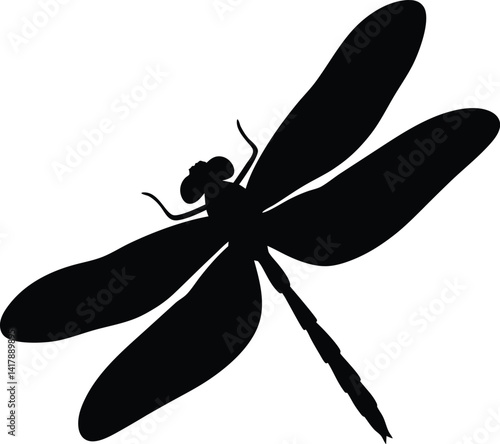 Dragonfly silhouette, dragonfly vector illustration black silhouette front 