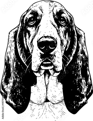 Paw of dog print vector Vexture