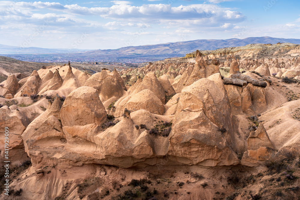 Fototapeta premium Scenic view of fairy chimneys at Devrent Valley (Imagination Valley), Cappadocia, Turkey
