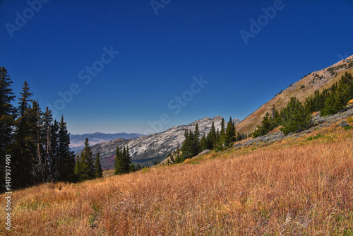 Obraz na płótnie Box Elder Peak hiking views from trail, American Fork Canyon. Lone Peak, Mt Timpanogos, Wasatch Range Rocky Mountains, Utah, United States. w salonie