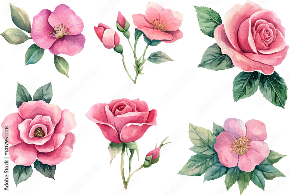 set of roses vector illustration set of roses vector illustration