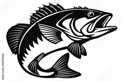  Delicious seafood Bass fish vector illustration