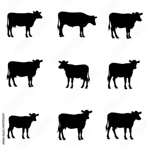 Set Cow silhouettes, Set of jersey cow silhouettes in various poses. isolated vector on white background.