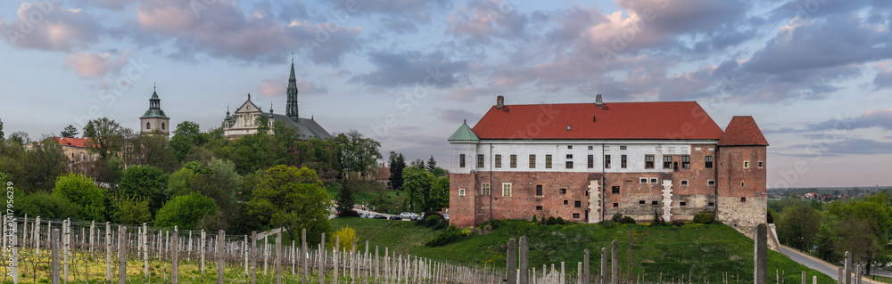 Summer cityscape panorama of Sandomierz, Świętokrzyskie, Poland. Wide panoramic view of the old town and Royal Castle