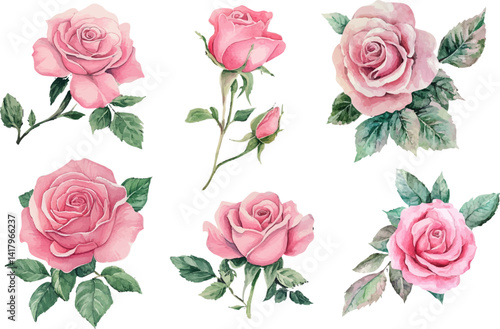seamless pattern with roses