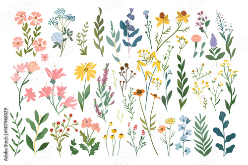 vector illustration of various wildflowers and delicate plants arranged artistically on a white background
