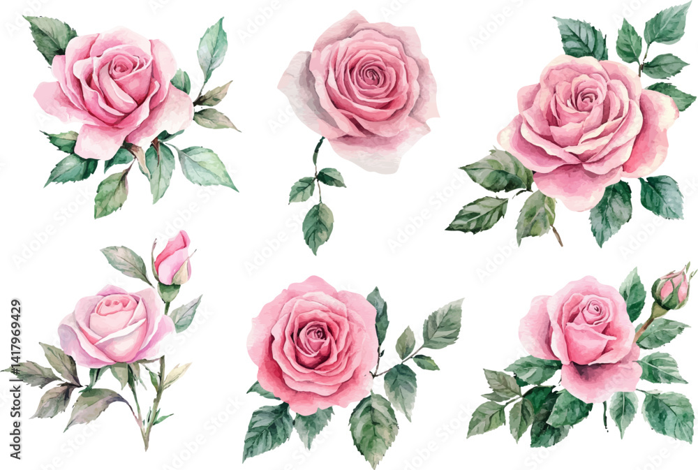 set of roses vector illustration set of roses vector illustration