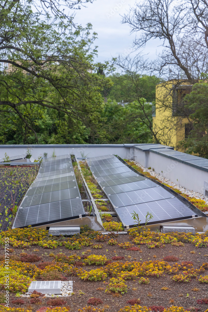 Solar panels providing green energy on a rooftop garden