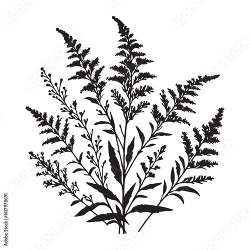 Wild Goldenrod Flower Bouquet Silhouette Botanical Vector Illustration