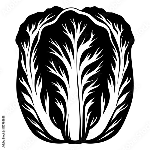 Dramatic and Minimalist Silhouette Depiction of Napa Cabbage, A Culinary Delight