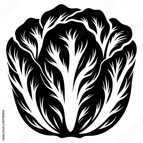 Monochrome depiction of Napa cabbage head in high contrast vector image