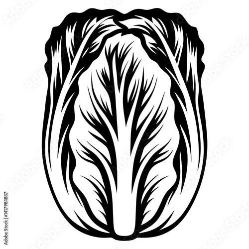 Monochrome Illustration of Napa Cabbage Head, Simple and Elegant Design Element