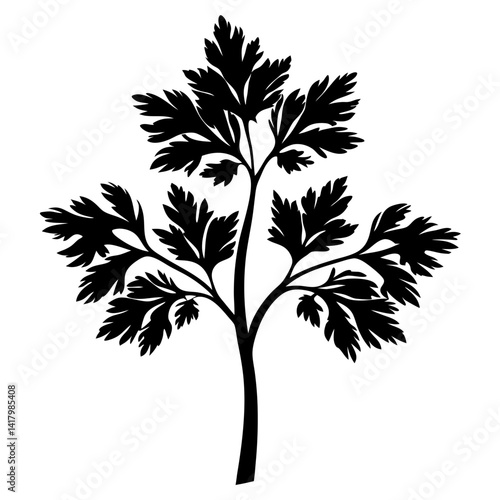 Monochrome illustration of a sprig of parsley with detailed leaf structure