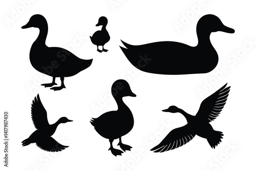 Duck black silhouettes.