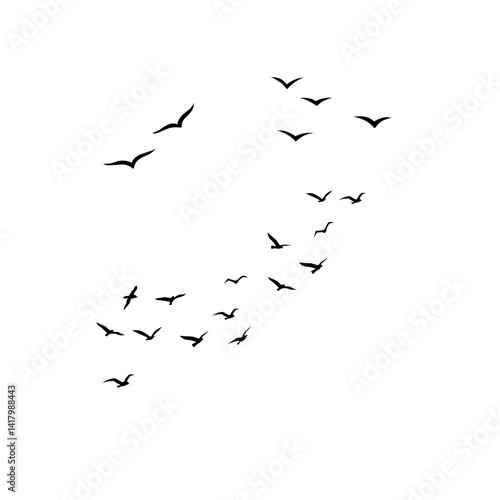 flock of birds flying