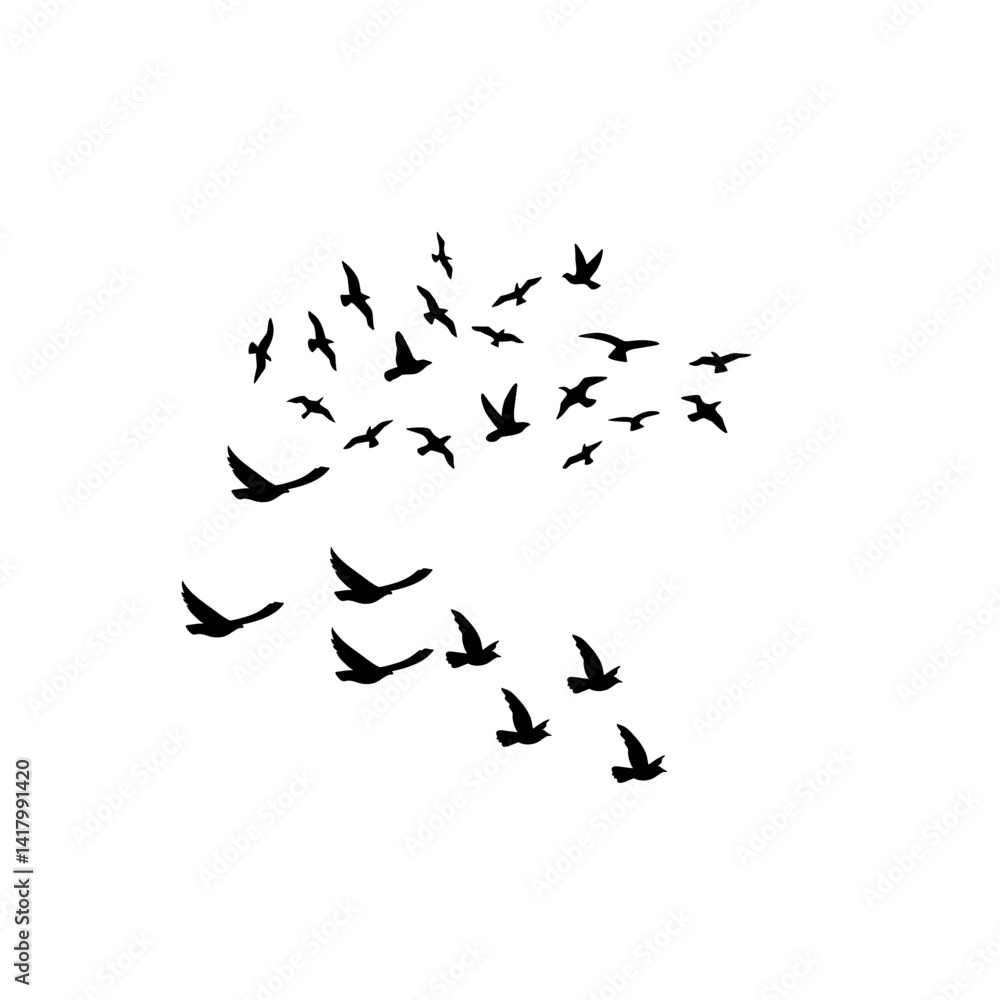 flock of birds flying flock of birds flying
