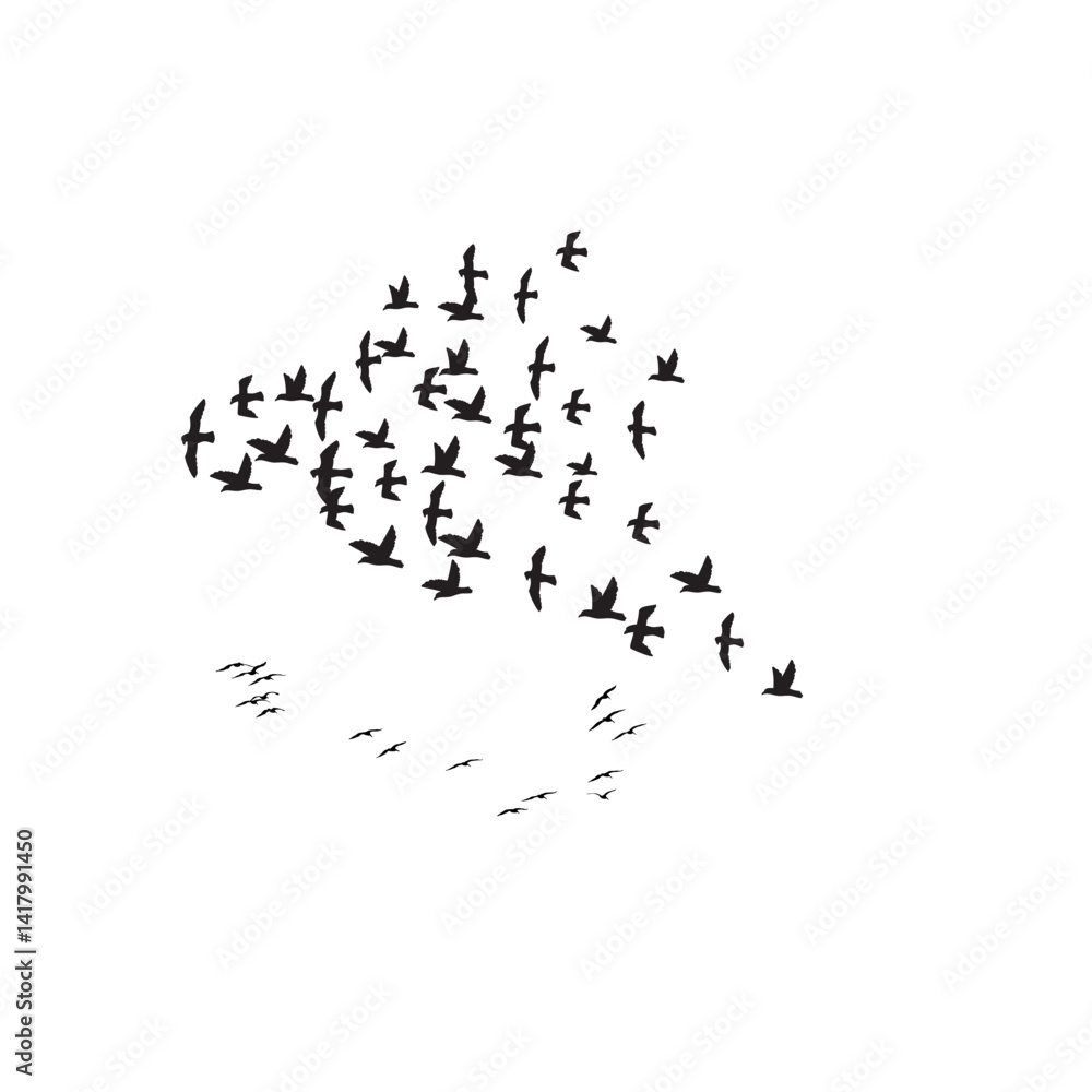 Obraz premium flock of birds flying