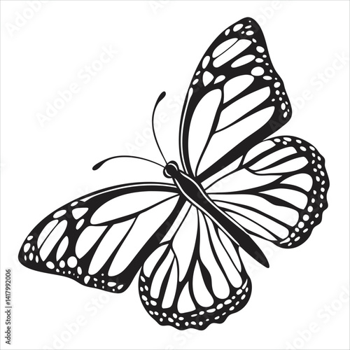 butterfly on white background