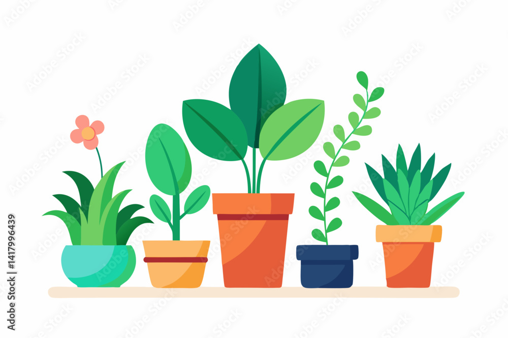 flower in pots flower in pots