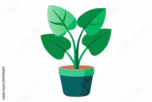 green plant in a pot
