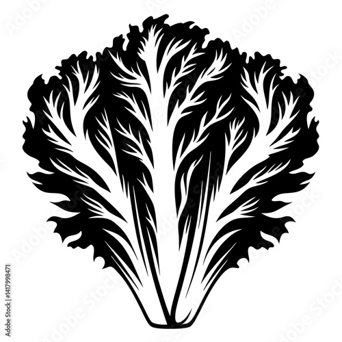 Monochromatic Stylized Lettuce Head Illustration with Intricate Leaf Vein Details and Edges