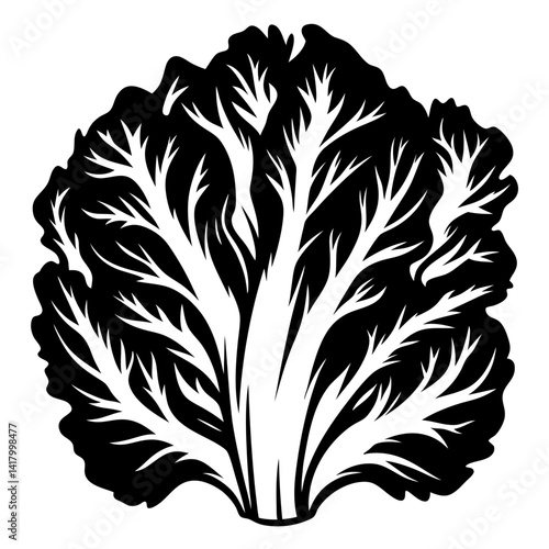 Monochrome Vector Illustration of a Napa Cabbage Head in Black and White