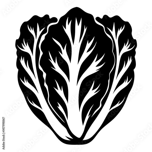 Stylized Black and White Image of Romaine Lettuce Showing Leaf Structure