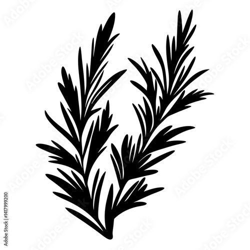 Silhouette of rosemary sprigs showing culinary herb used in mediterranean cuisine