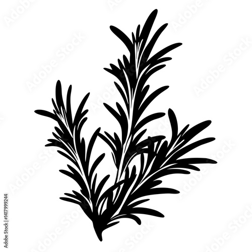 Elegant silhouette of rosemary herb sprigs, perfect for culinary design projects