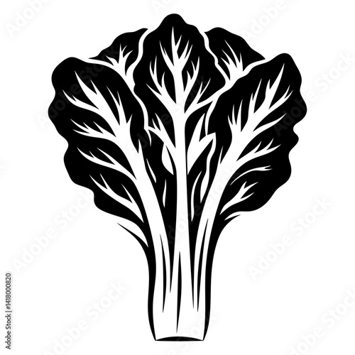 Stylized monochrome illustration of a vibrant bok choy vegetable bunch in bold lines