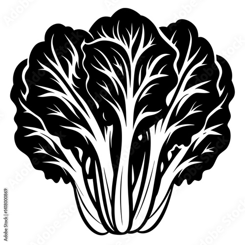 Artistic monochrome illustration of Chinese cabbage or napa cabbage with leafy texture