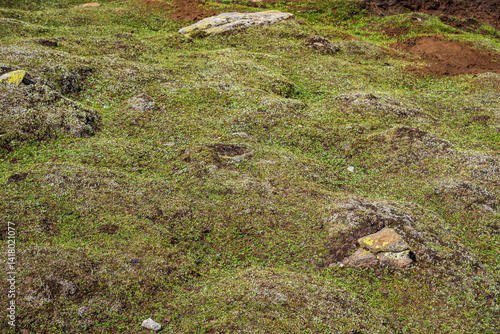 Frost heave occurs in cold climates when the ground freezes. It involves the upward movement of soil caused by the formation and expansion of ice within the ground.