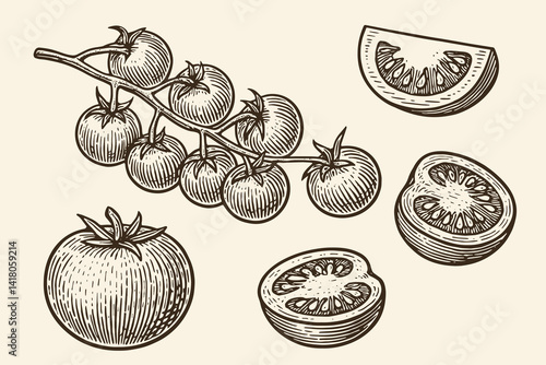 Vintage engraving of whole and sliced tomatoes 