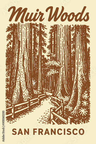 Muir Woods San Francisco