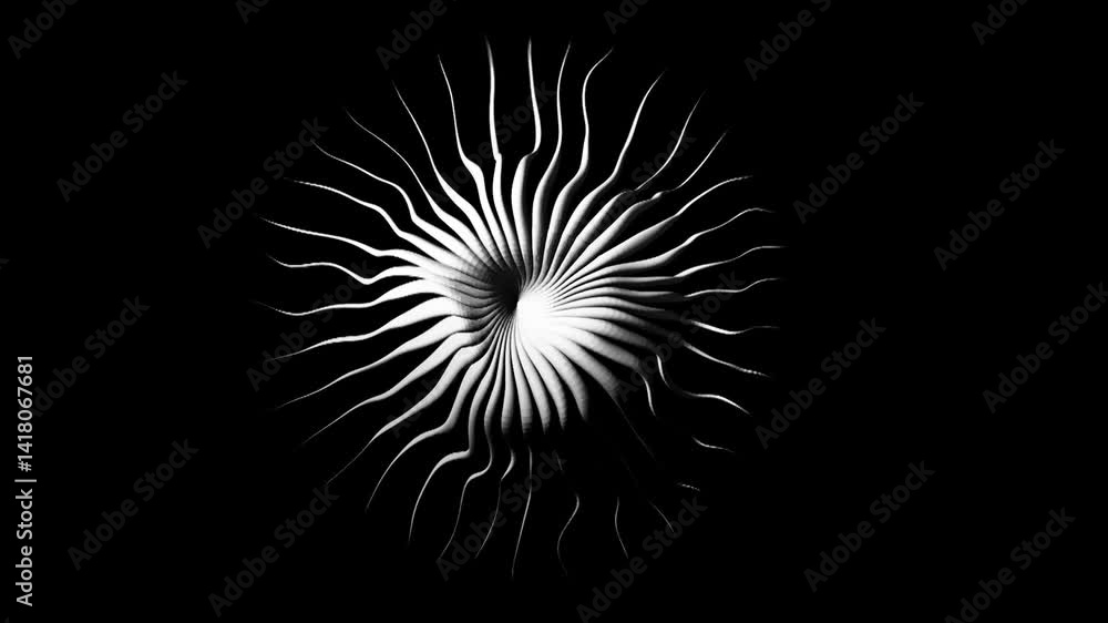 Abstract Lines Radiating From Center in Black and White Animation Abstract Lines Radiating From Center in Black and White Animation