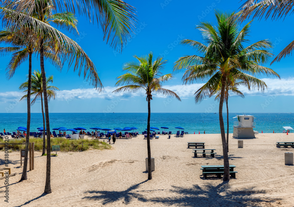 Beautiful tropical sunny beach with palm trees and beach umbrellas in Fort Lauderdale Beach Park, Florida