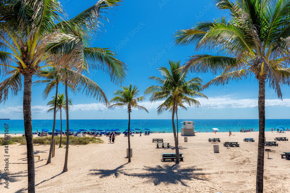 Beautiful palm trees in tropical sunny beach and beach umbrellas in Fort Lauderdale Beach Park, Florida