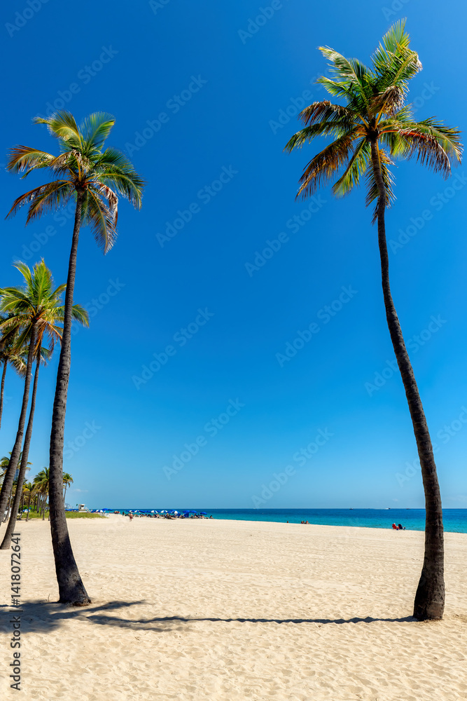 Beautiful beach. Palm trees on tropical white sand beach in Caribbean island