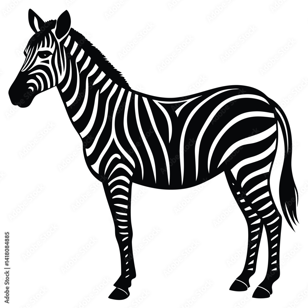 Fototapeta premium zebra black and white vector illustration